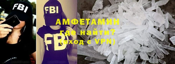 прущие грибы Абинск