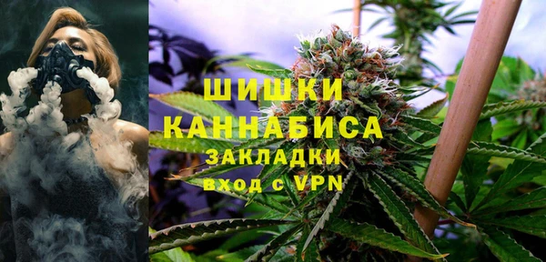 прущие грибы Абинск