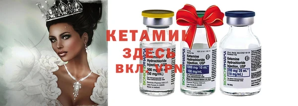 прущие грибы Абинск