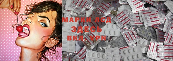стаф Абаза