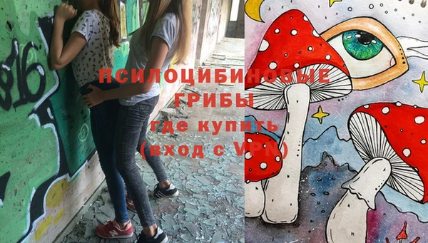 стаф Абаза