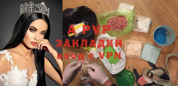 стаф Абаза