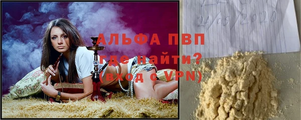 СК Алексин