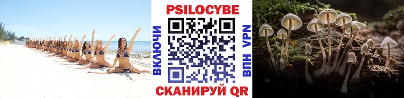 Галлюциногенные грибы MAGIC MUSHROOMS  купить  цена  Черкесск 