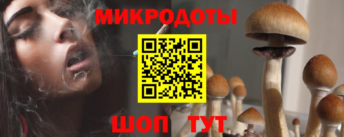 Черкесск  Галлюциногенные грибы MAGIC MUSHROOMS  Вход с VPN 